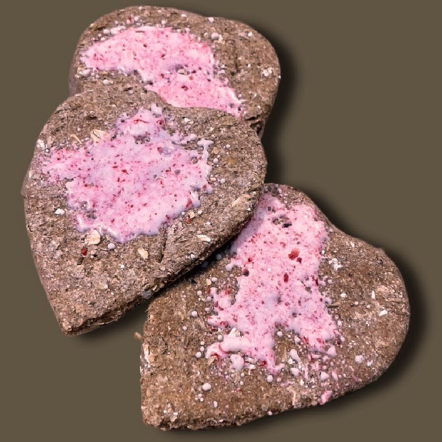Horse Treats Peppermint Whisker Biscuits 2 doz (24) $24