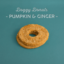 Pumpkin Ginger Dog Donuts Donuts Whiskerbiscuits