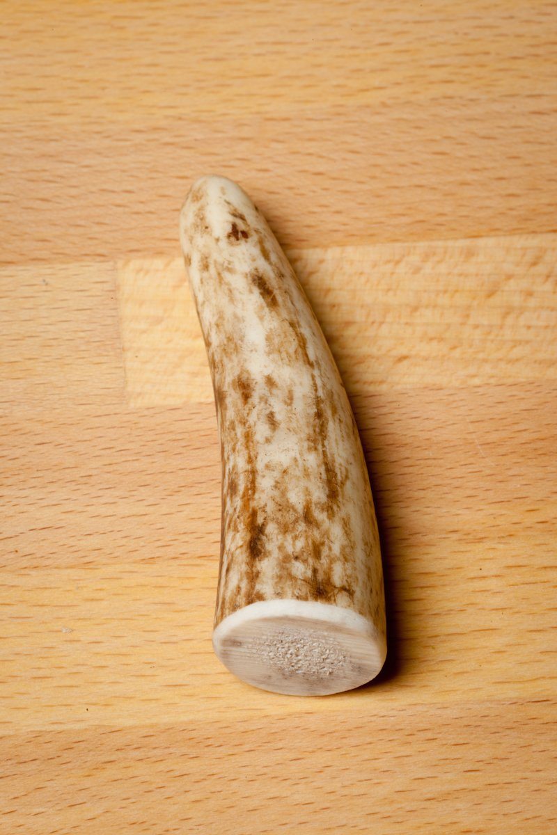 Small Elk Antler Chew Tips (small dog) Whiskerbiscuits