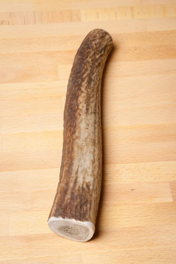 Medium Elk Antler Chew Approx 1/2lb (small to medium dogs) Whiskerbiscuits