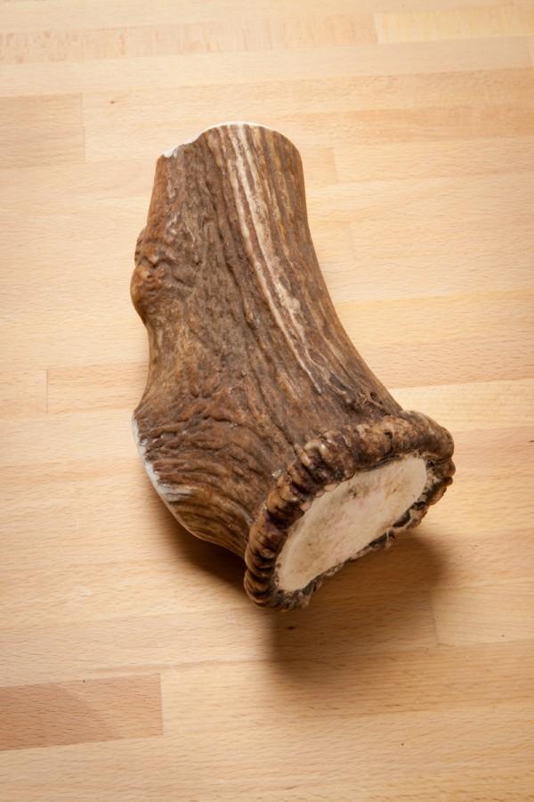 Extreme Elk Antler Chew Approx 1 1/2 lb (large dogs) Whiskerbiscuits