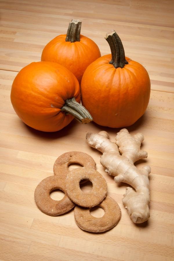 Pumpkin Ginger Dog Donuts Donuts Whiskerbiscuits