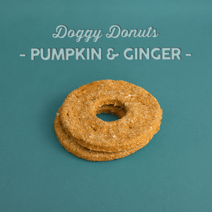 Pumpkin Ginger Dog Donuts Donuts Whiskerbiscuits 