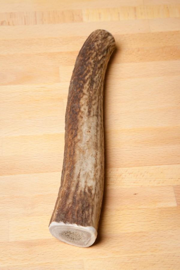 Medium Elk Antler Chew Approx 1/2lb (small to medium dogs) Whiskerbiscuits 