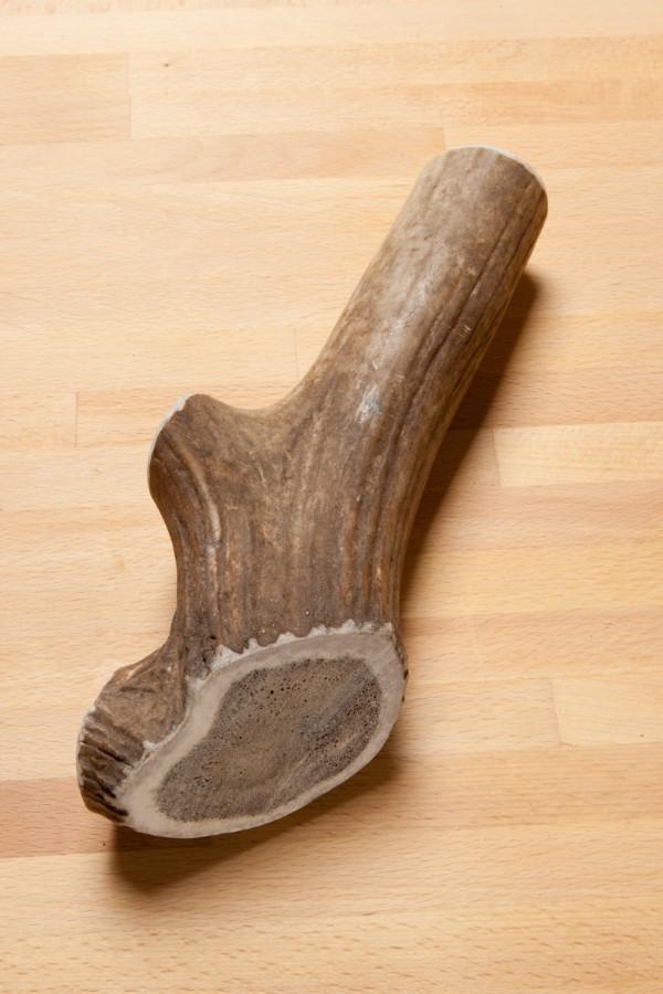 Large Elk Antler Chew Approx 1 lb (large dog) Whiskerbiscuits 